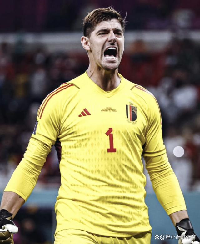 包含荷兰绝杀法国，库尔图瓦状态火热的词条