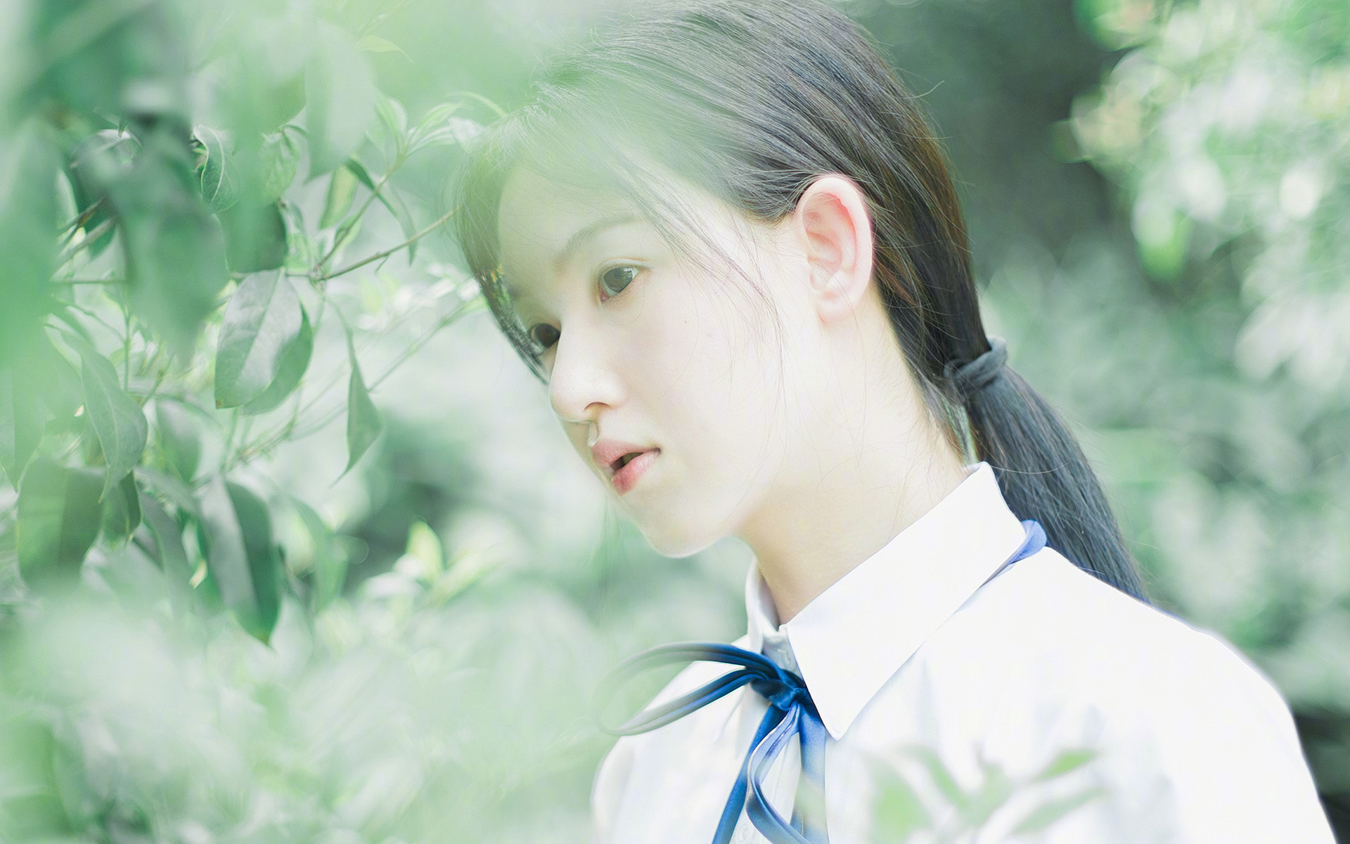 南美风暴!厄瓜多尔逆袭阿根廷,晋级之路震撼足坛